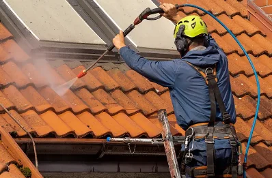 Démoussage et hydrofuge de toiture à l'Échelle